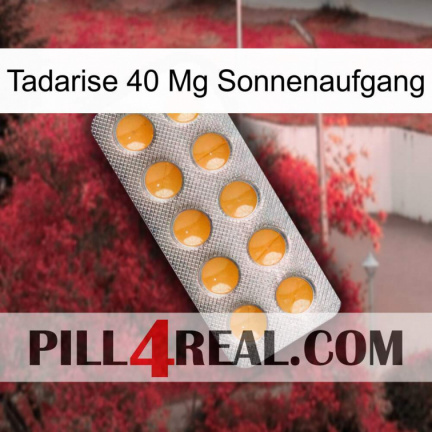 Tadarise 40 Mg Sunrise levitra1